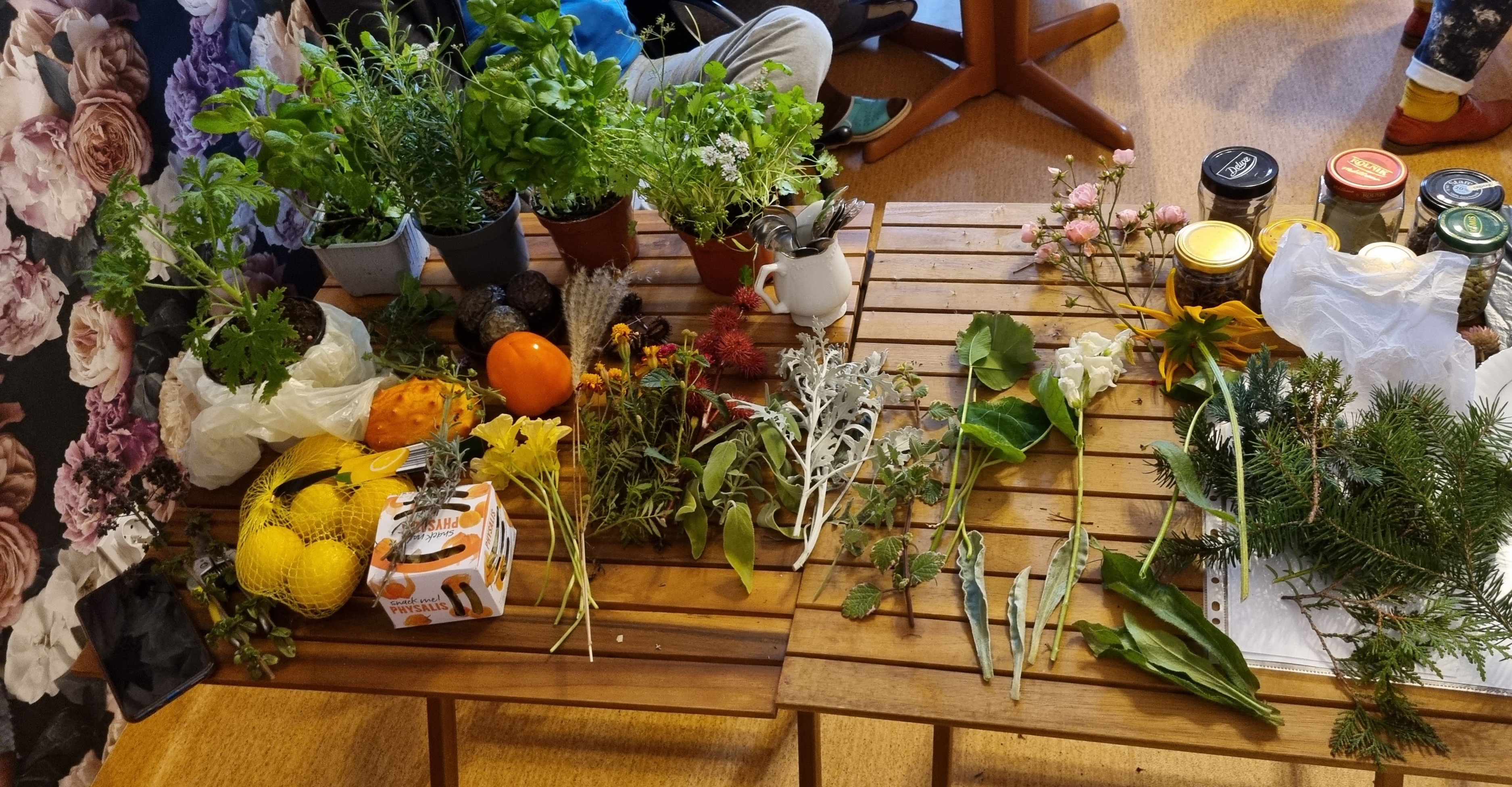 Sadzonki roślin, doniczki, owoce i warzywa leżą na drewnianym stole