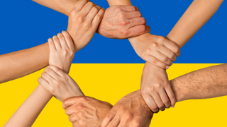 Pole rzepaku na tle błękitnego nieba ukazane jako ukraińska flaga